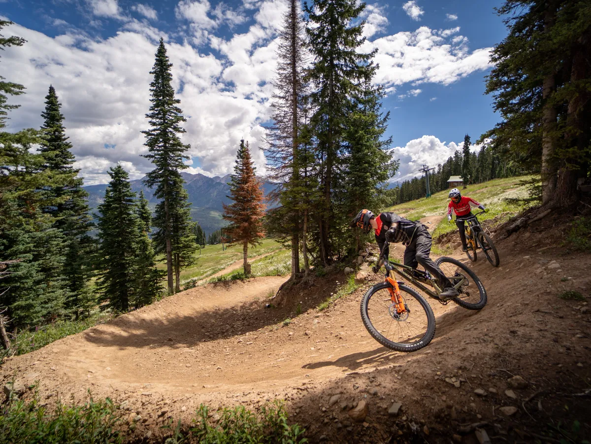 Mountain bikers navigate a curved dirt trail surrounded by towering pine trees, with panoramic mountain views in the distance. The image captures the thrill of adventure and the natural beauty of summer in the San Juans.